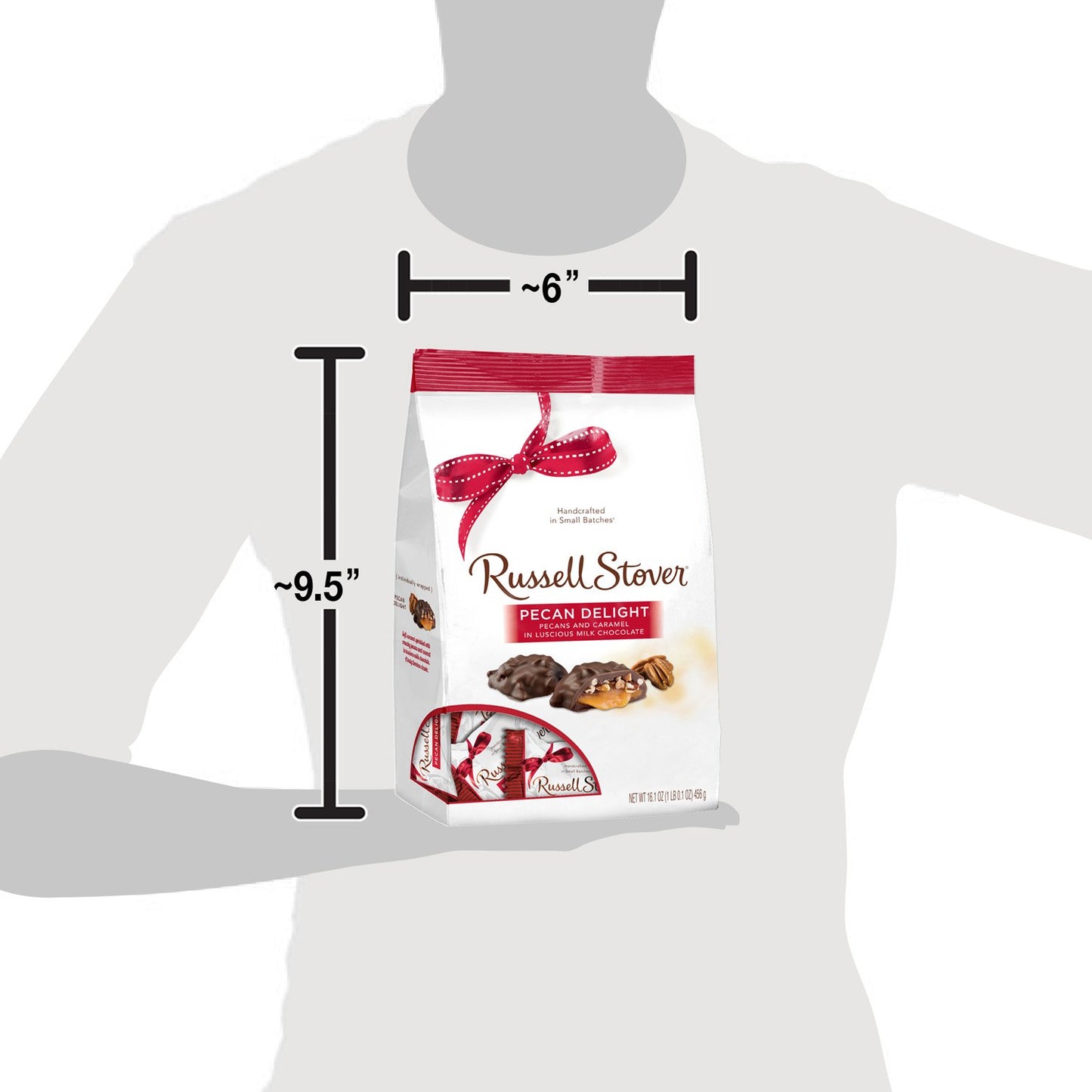 Russell Stover Pecan Delight Gusset Bag 16.10 Ounce Russel Stover Milk Chocolate Covered Candy Pack, Crunchy Pecans and Buttery Caramel Covered In Sweet Milk Chocolate Candy, Individually Wrapped