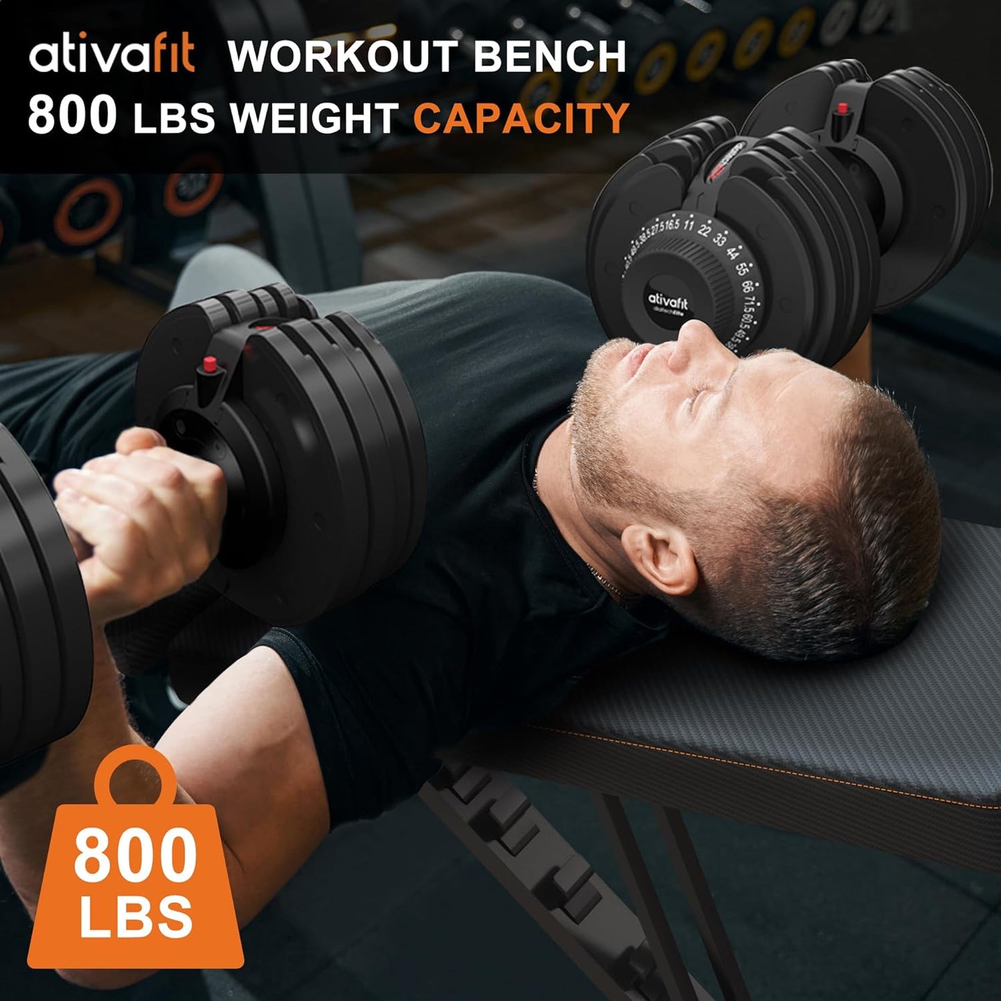 Work Out system - Weight Bench Folding Strength Training Bench for Full Body Workout Incline Bench with CST Home Workout Studio