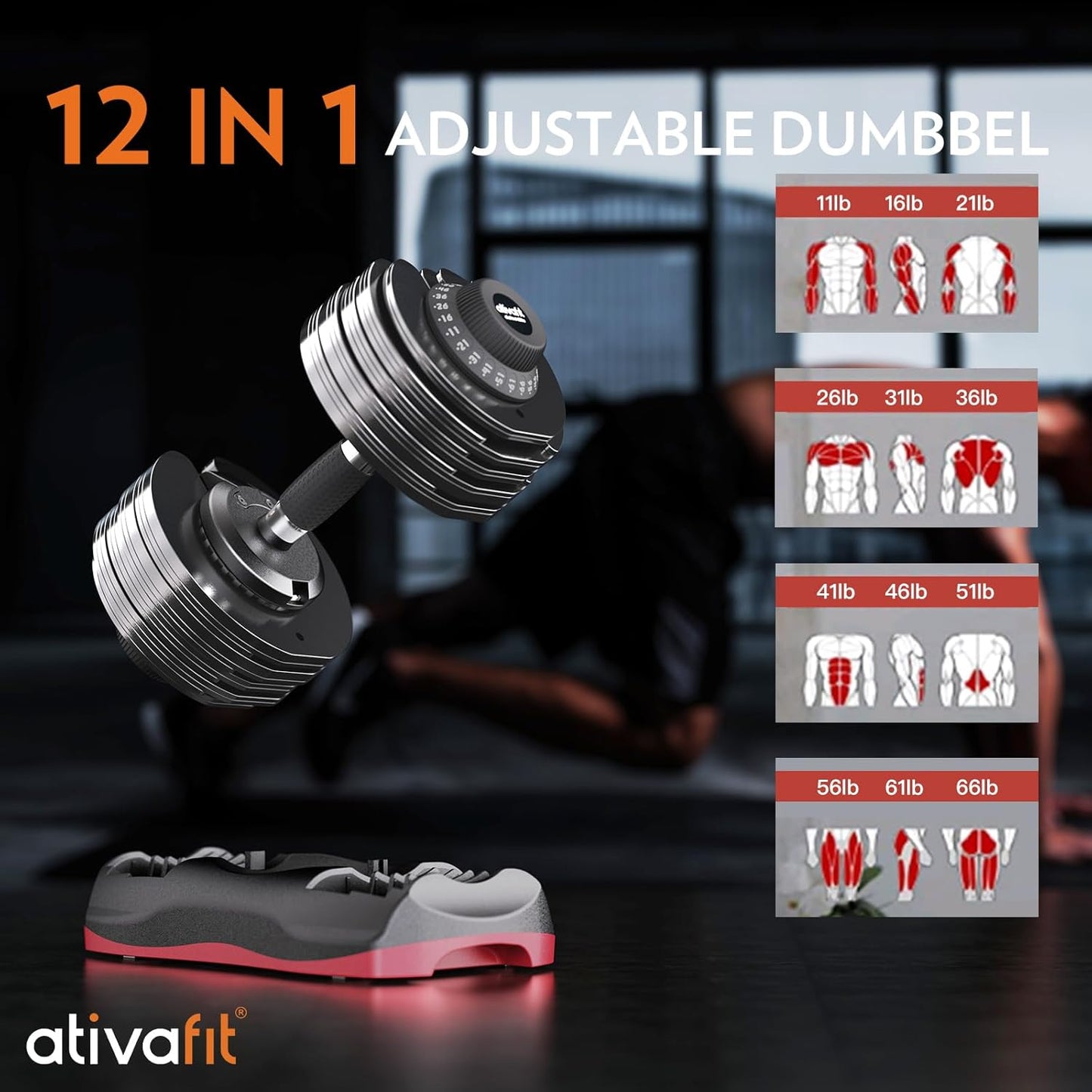 66 Lbs Adjustable Weight Dumbbell & Full Fitness Set | DT1166