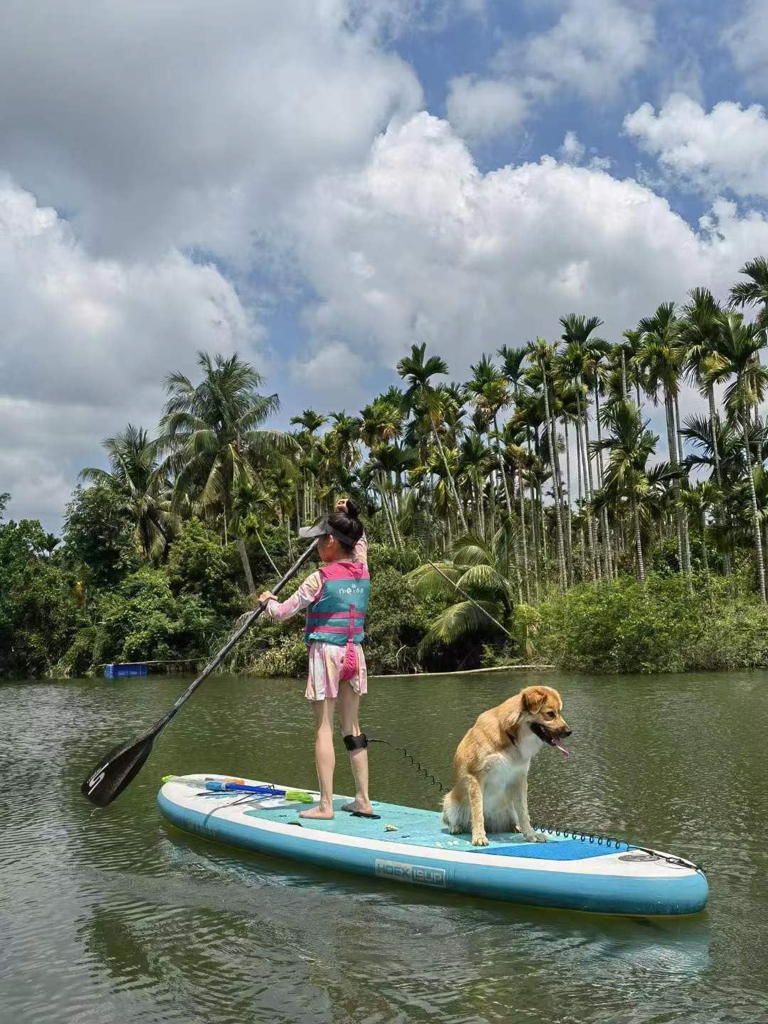 Inflatable Stand Up Paddle Board, 10ft Paddle Boards for Adults with Premium SUP Paddleboard Accessories & Backpack, Wide Stable Design, Non-Slip Comfort Deck for Beginners & Experts