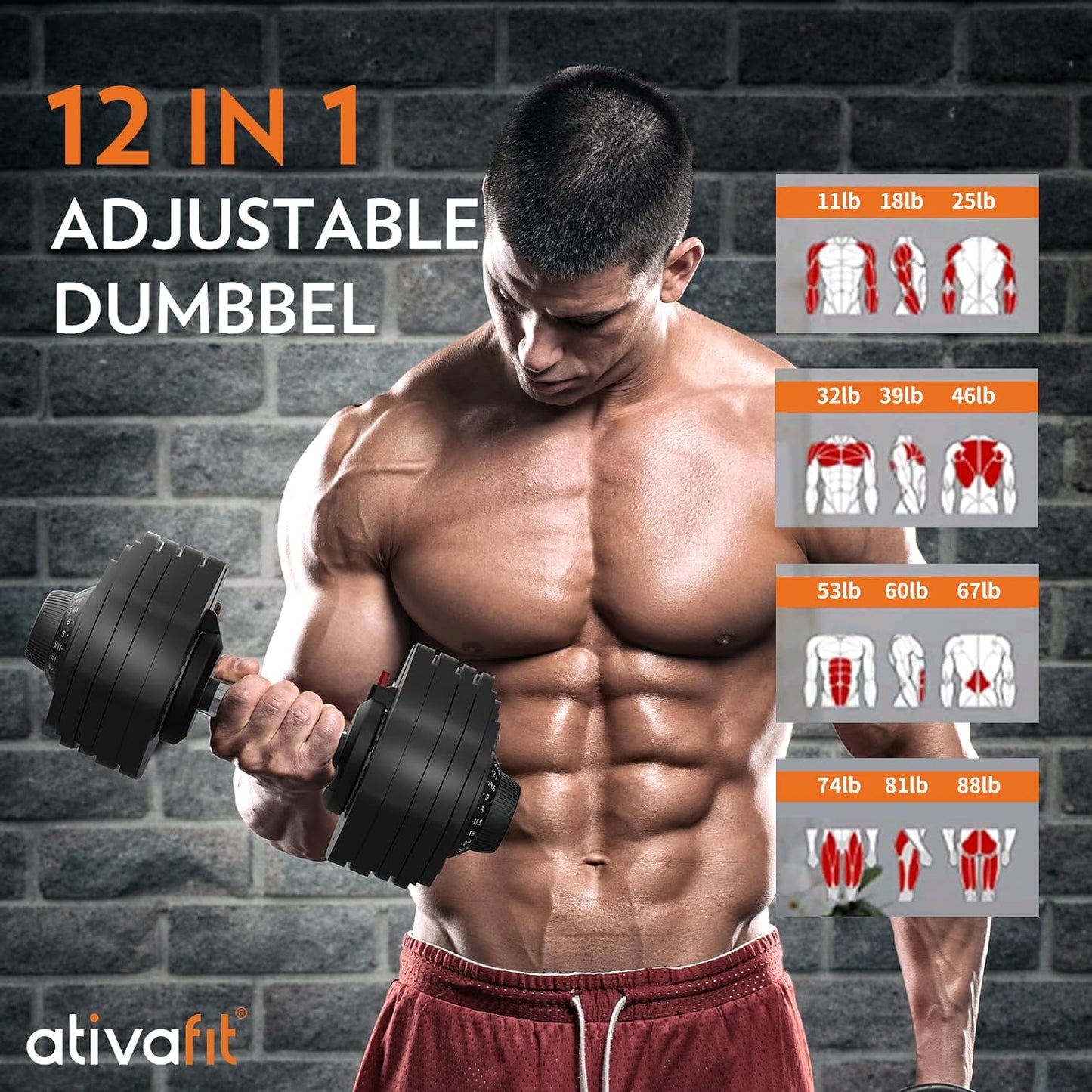 Adjustable Weight Dumbbell with Full Home Fitness Set  | DT1188